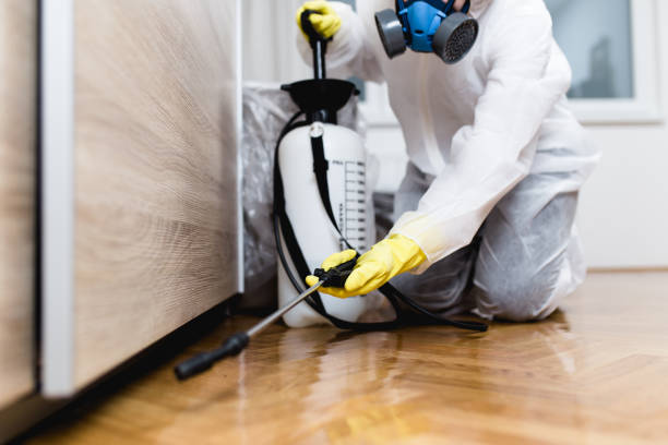 Best Pest Prevention Services  in Tainter Lake, WI