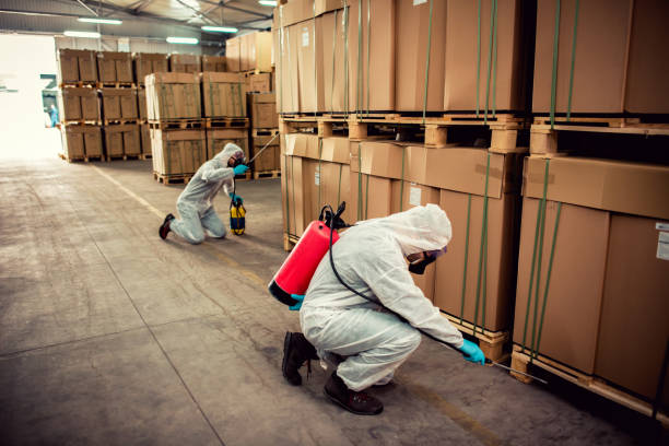 Best Ant Control Services  in Tainter Lake, WI