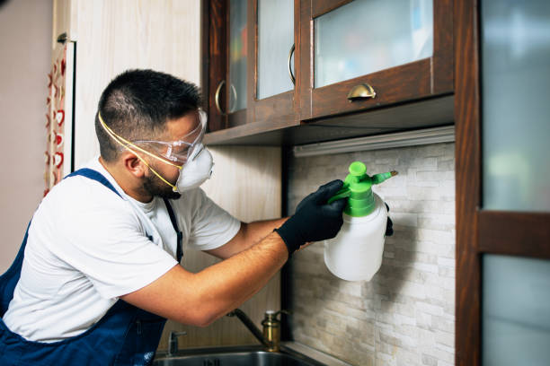 Professional Pest Control in Tainter Lake, WI