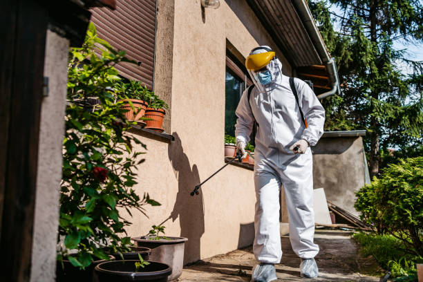 Reliable Tainter Lake, WI Pest Control Solutions