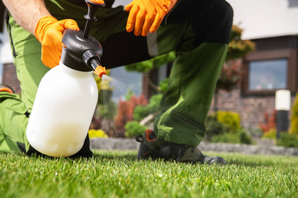 Best Best Pest Control Companies  in Tainter Lake, WI