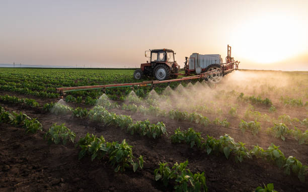 Best Pest Removal Services  in Tainter Lake, WI