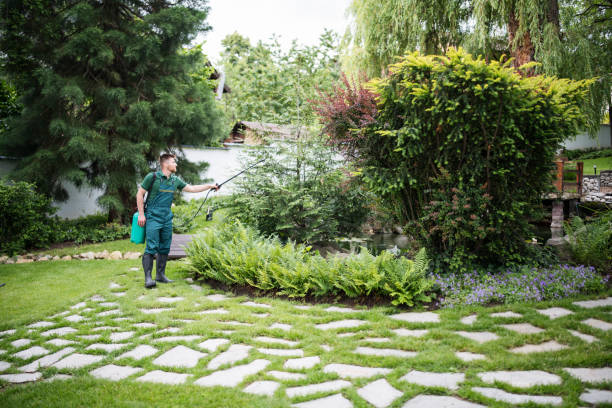 Best Termite Control Services  in Tainter Lake, WI