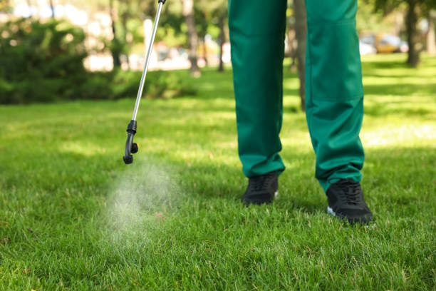 Pest Prevention Services in Tainter Lake, WI