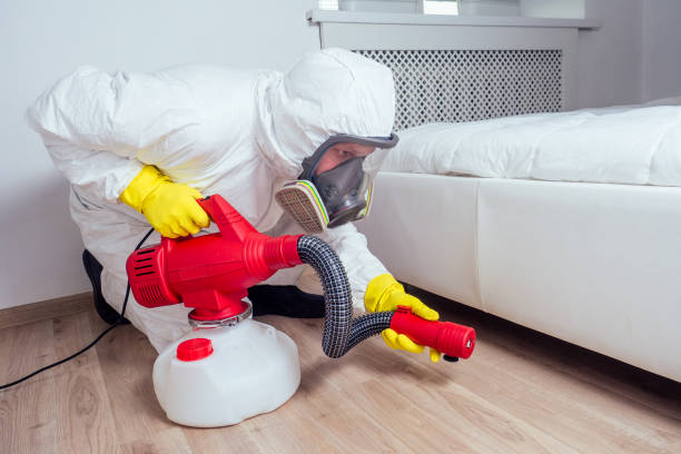 Best Residential Pest Control  in Tainter Lake, WI