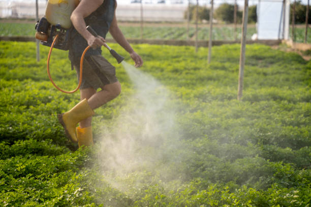 Pest Control Cost in Tainter Lake, WI