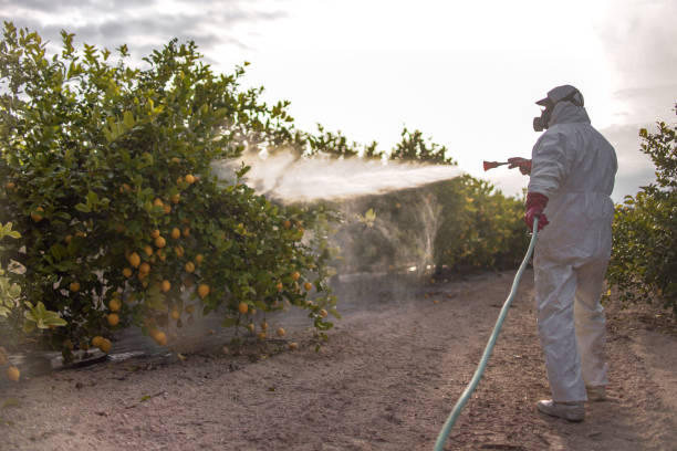 Best Exterminator Services  in Tainter Lake, WI