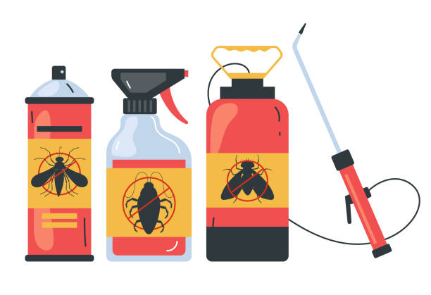 Best Spider Control Near Me  in Tainter Lake, WI
