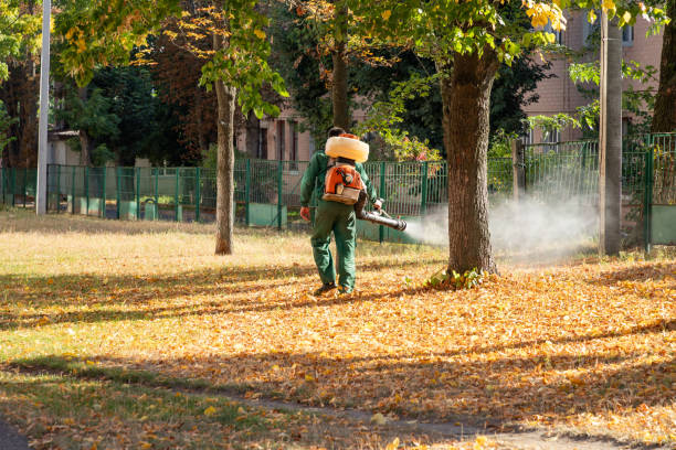 Best Pest Inspection Near Me  in Tainter Lake, WI