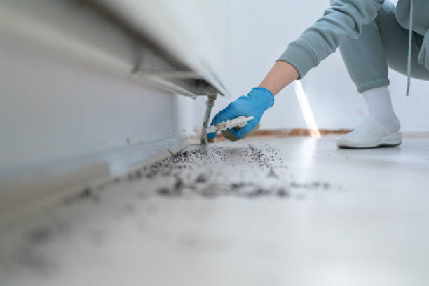 Best Bed Bug Extermination  in Tainter Lake, WI