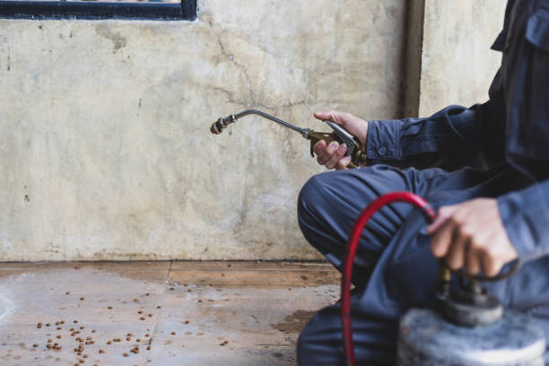 Best Emergency Pest Control  in Tainter Lake, WI